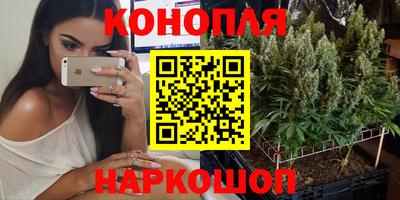 дурь Будённовск