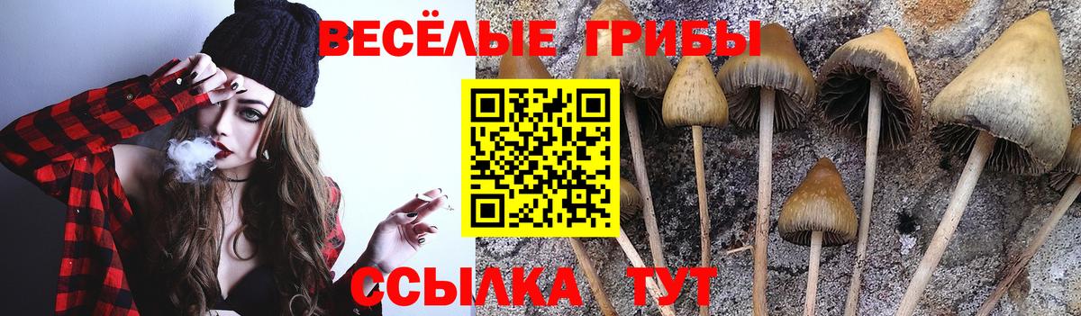 Сафоново  Галлюциногенные грибы мицелий  Вход с VPN  Галлюциногенные грибы ЛСД 